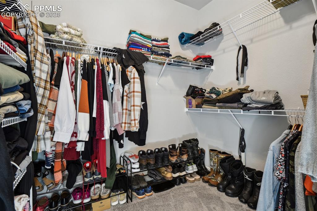 Image 29 of 47: Spacious closet with carpet