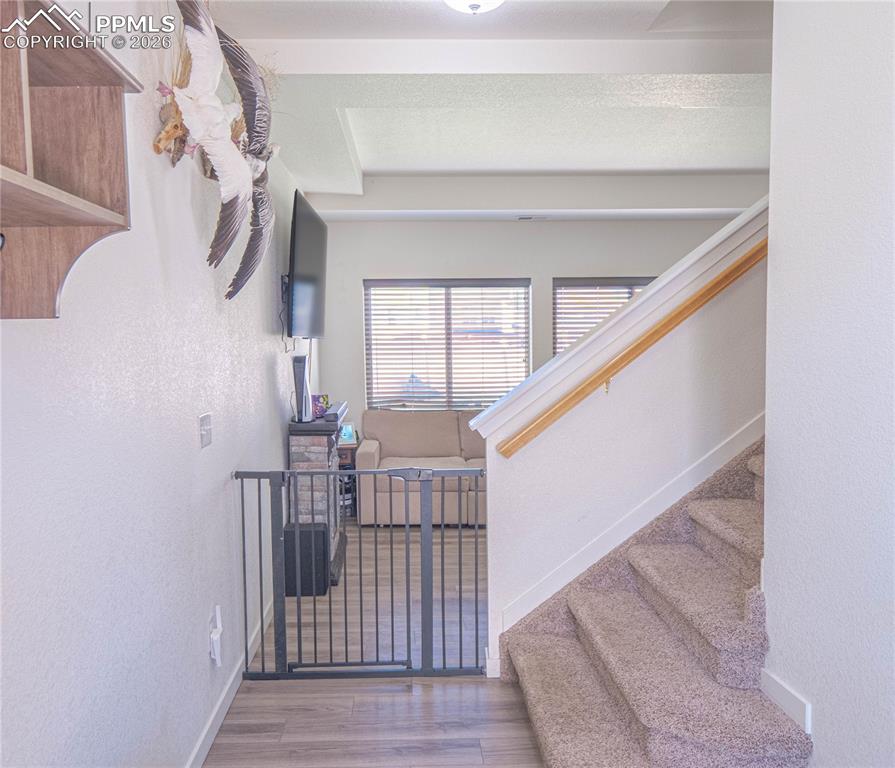 Image 3 of 30: Carpeted staircase featuring a light wood handrail