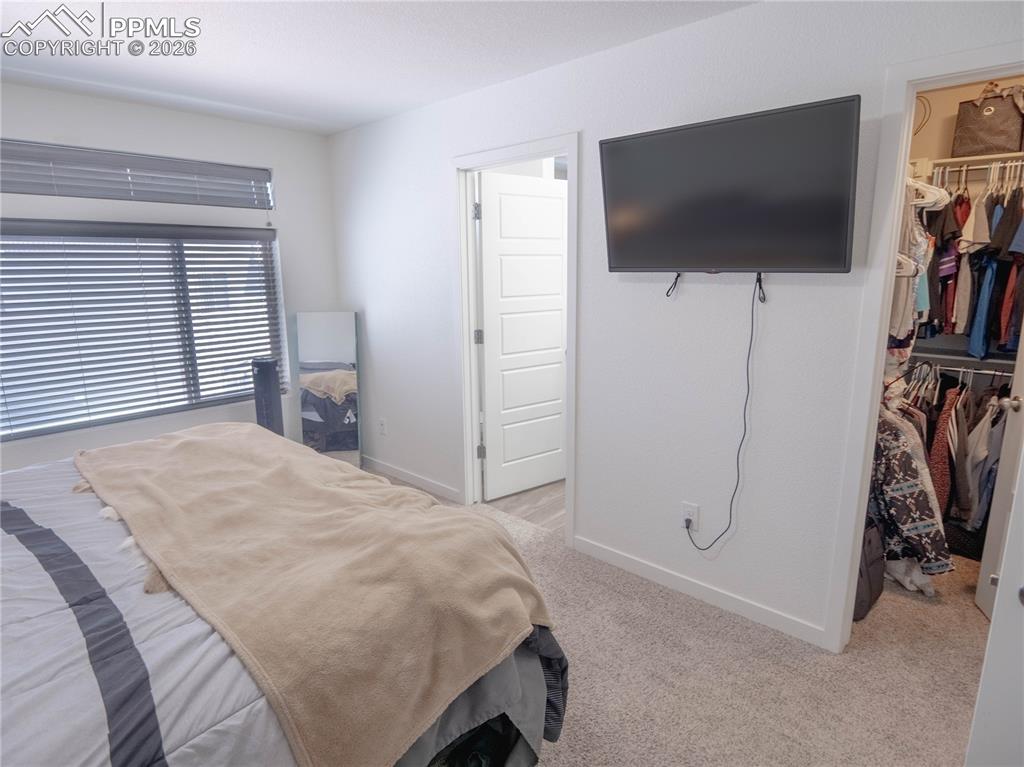 Image 9 of 30: Wall-mounted television fixture above plush carpeted flooring