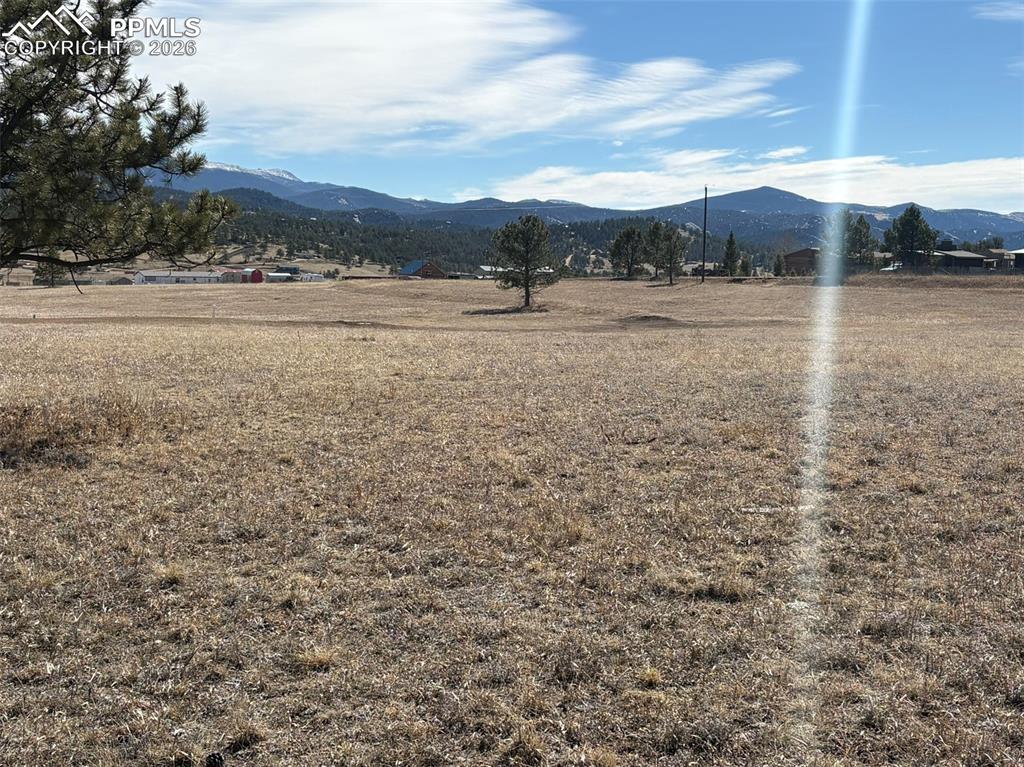 Image 11 of 17: View