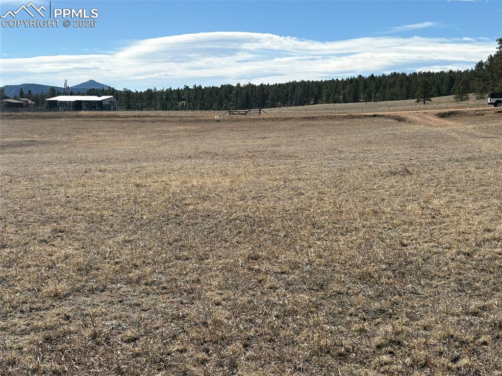 Image 12 of 17: Yard