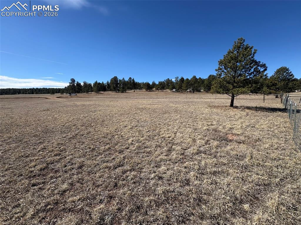 Image 13 of 17: Yard