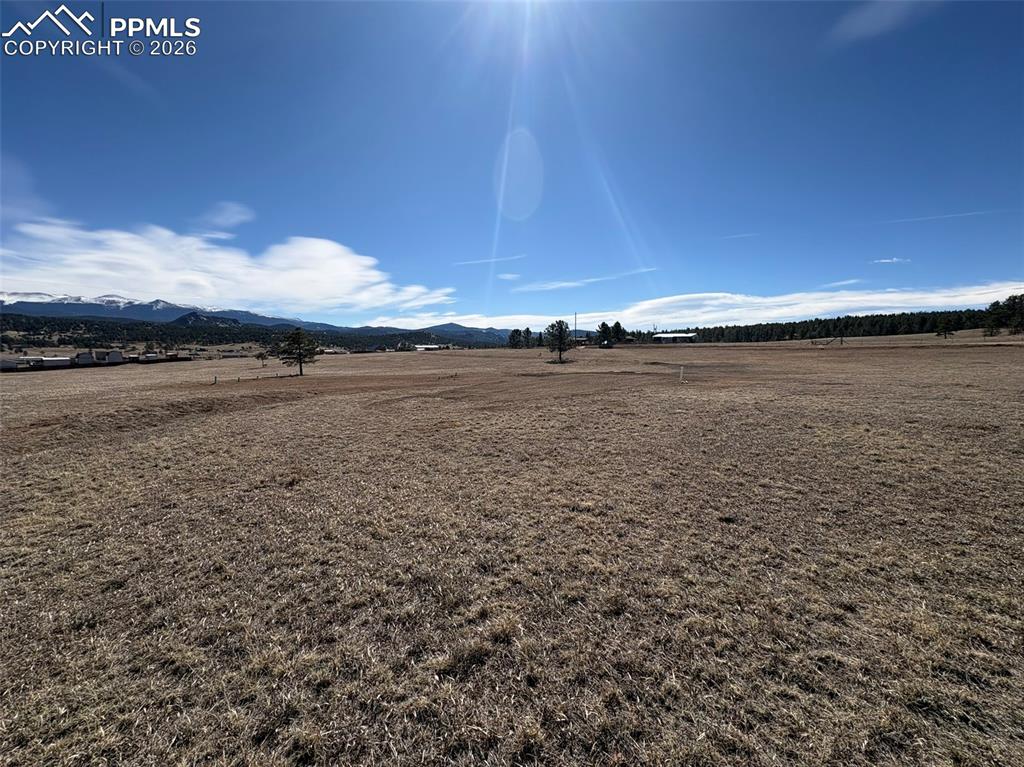 Image 14 of 17: Yard