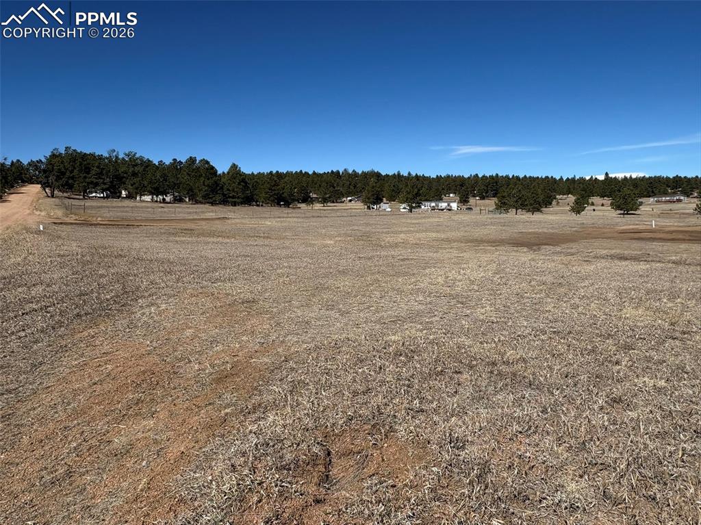 Image 17 of 17: Other