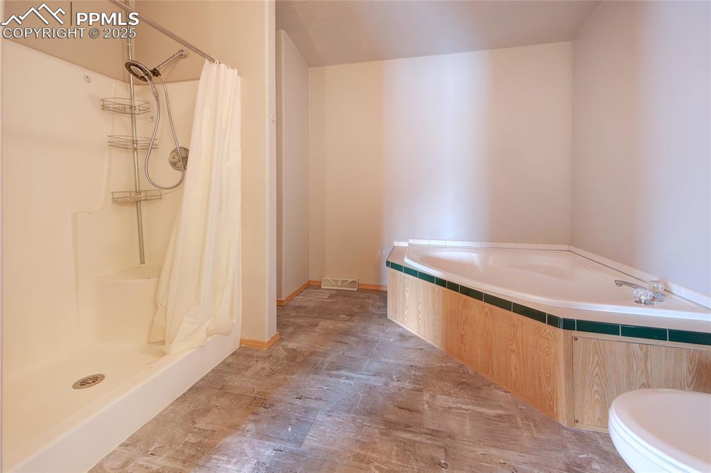 Image 22 of 50: Soaking tub and standalone shower