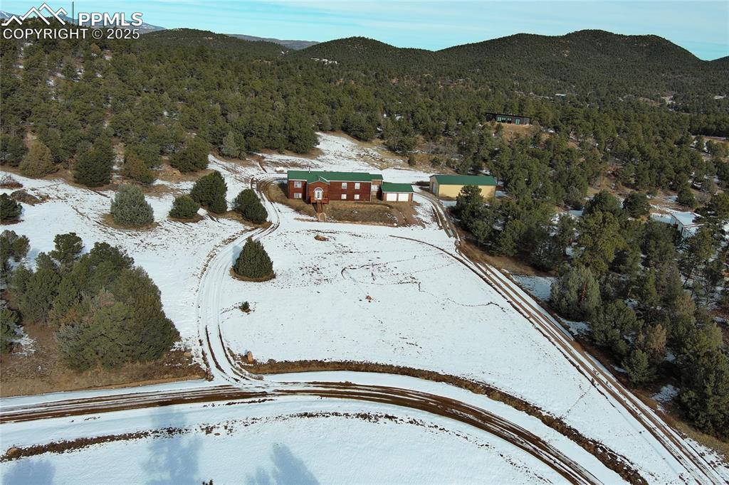 Image 48 of 50: Front view of driveway.