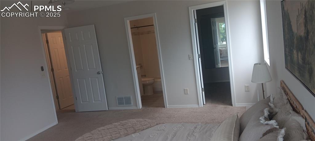 Image 40 of 45: MBR w/ spacious WI closet, carpet, and connected full bathroom