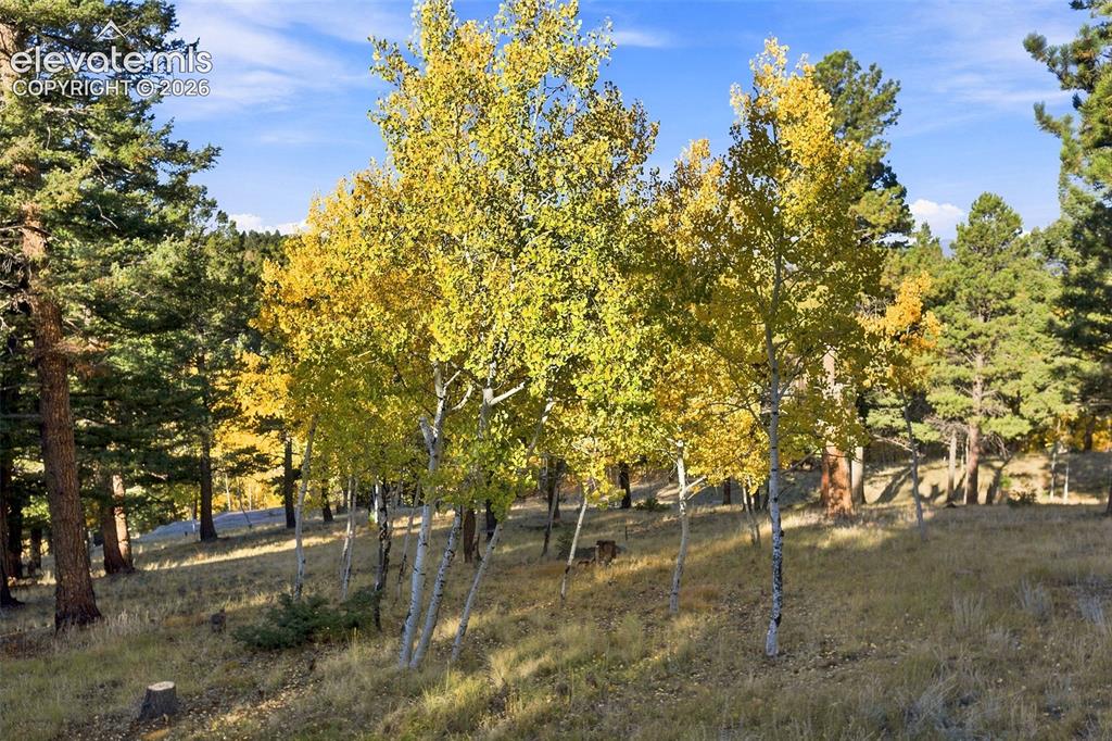 Image 23 of 27: Aspen