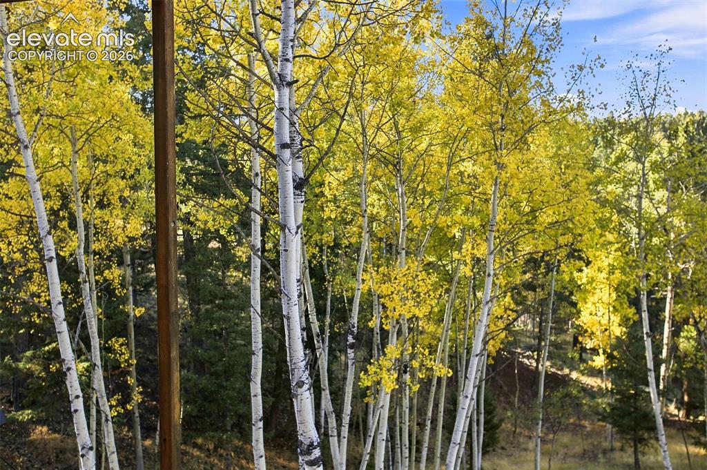 Image 24 of 27: Aspen