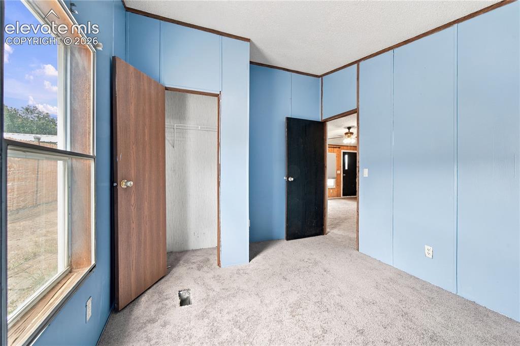Image 12 of 19: Carpeted flooring, paneled walls, and a window providing natural light