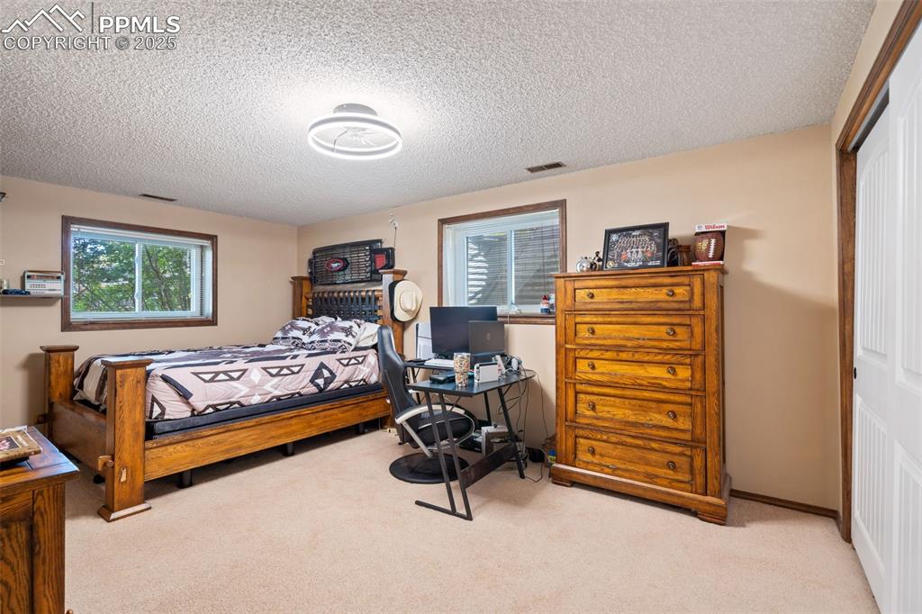 Image 34 of 49: Large basement bedroom with good natural light.