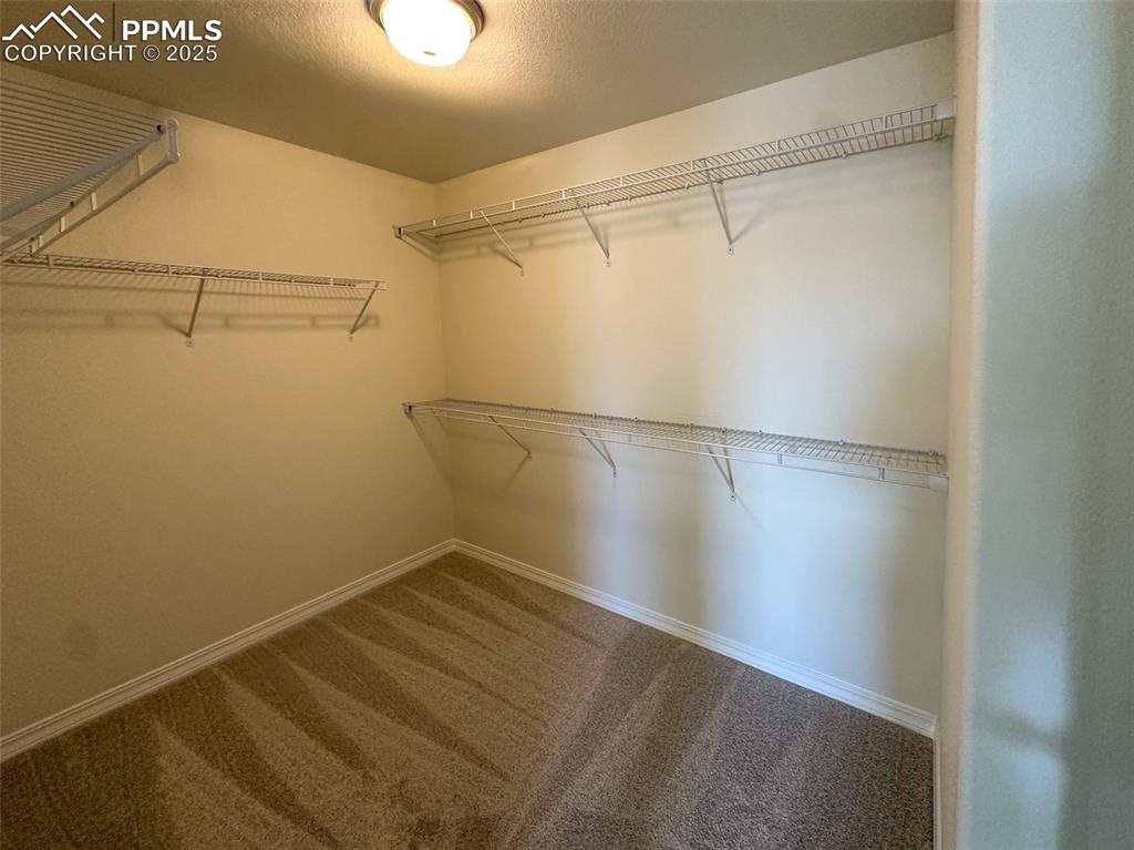 Image 31 of 35: Primary bedroom walk-in closet 