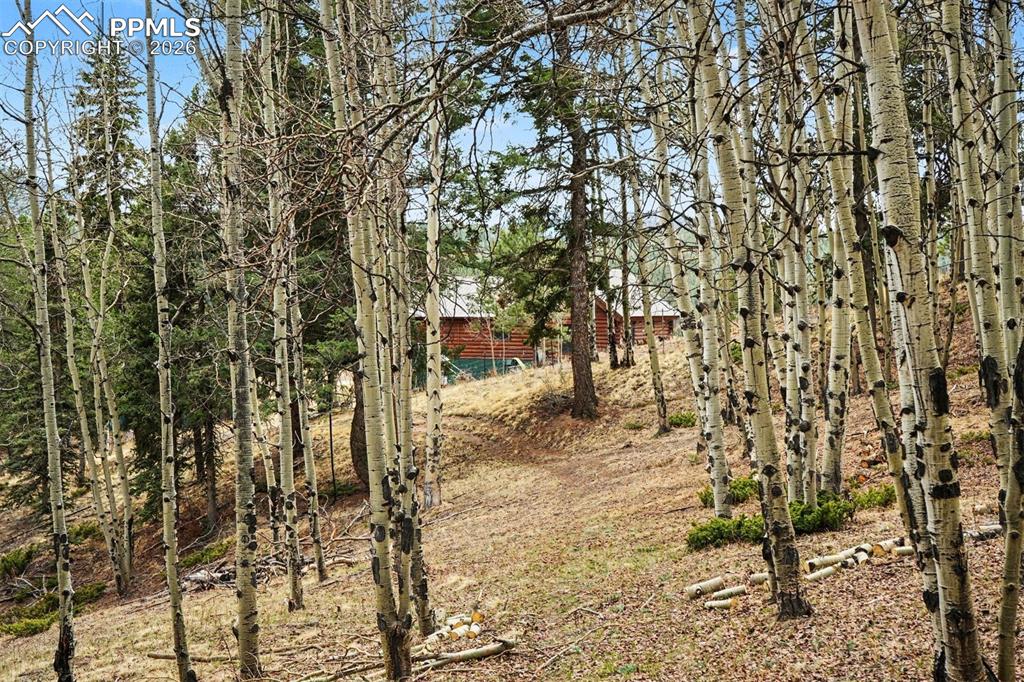 Image 27 of 28: Yard