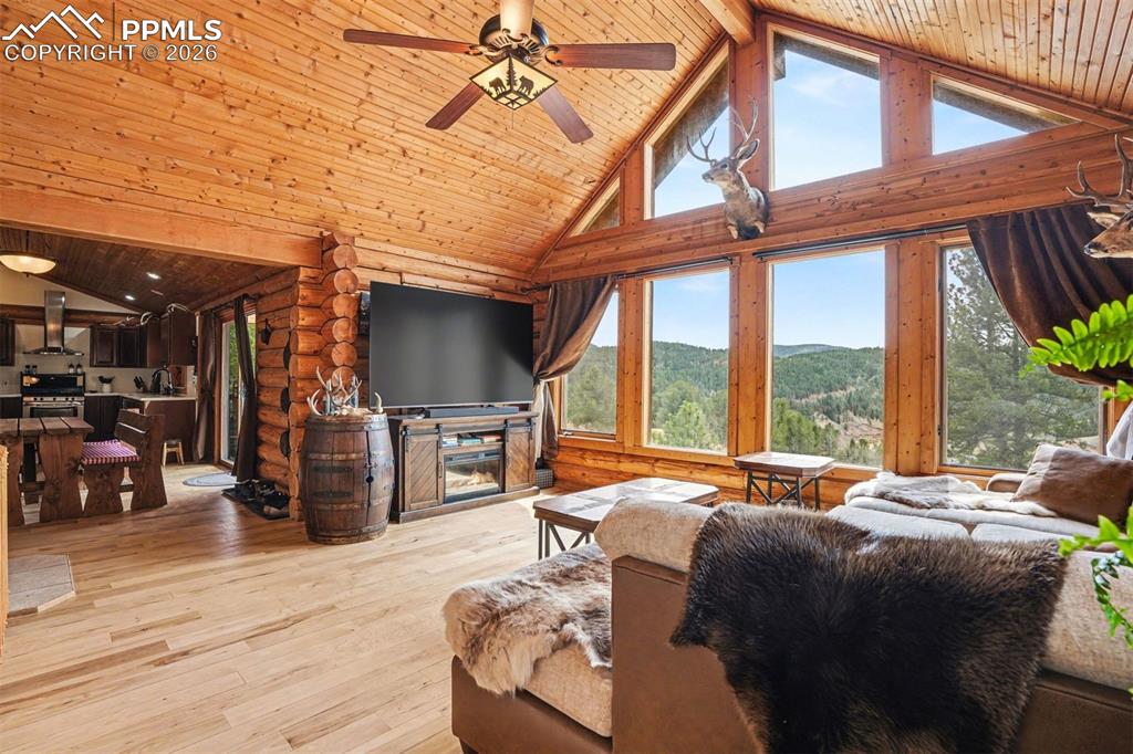 Image 3 of 28: Living Room