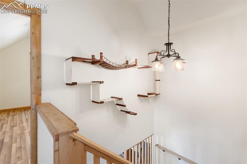 Image 48 of 50: Other