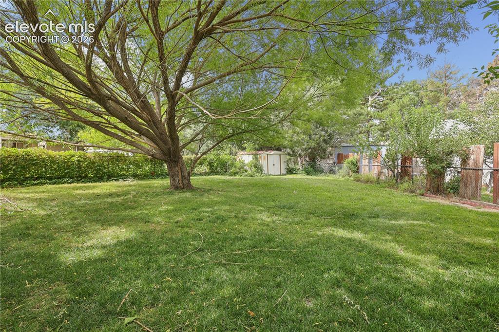 Image 26 of 29: Yard