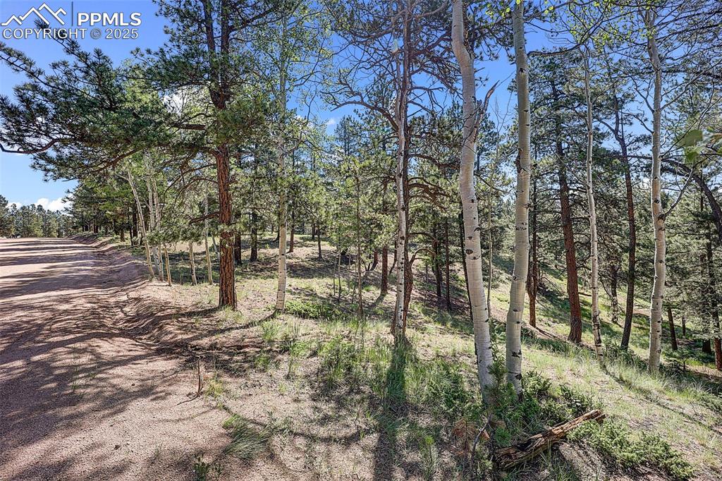 Image 18 of 26: View of property from the road