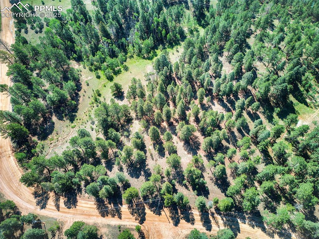 Image 20 of 26: Aerial view of meadow and tree