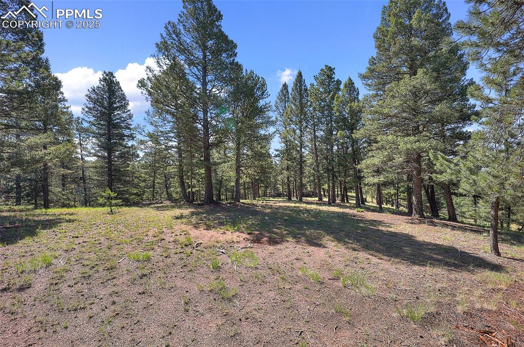 Image 5 of 26: Another possible build site on the west side of the property