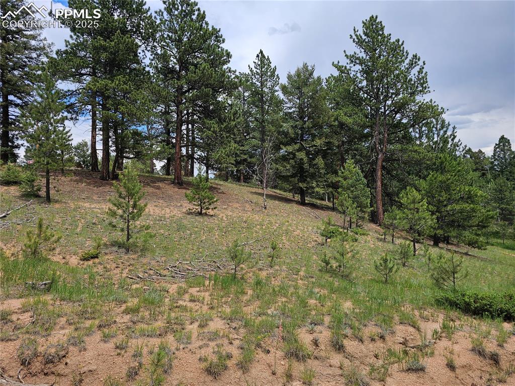 Image 6 of 26: Another possible build site on the north east side of the property