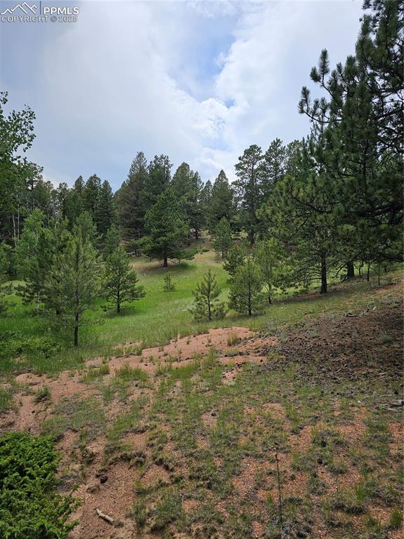 Image 8 of 26: View from the meadow looking north towards the main road