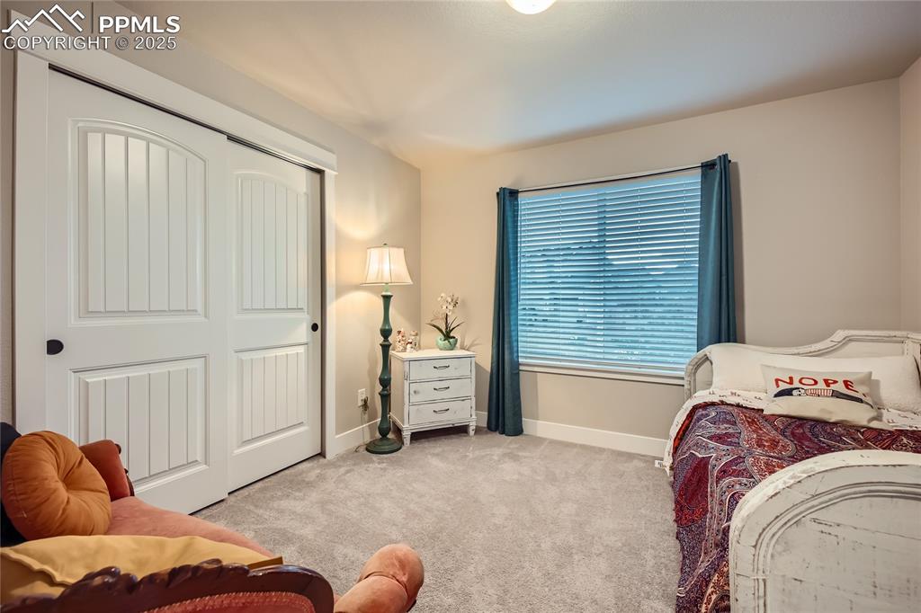 Image 18 of 37: Bedroom featuring light colored carpet and a closet