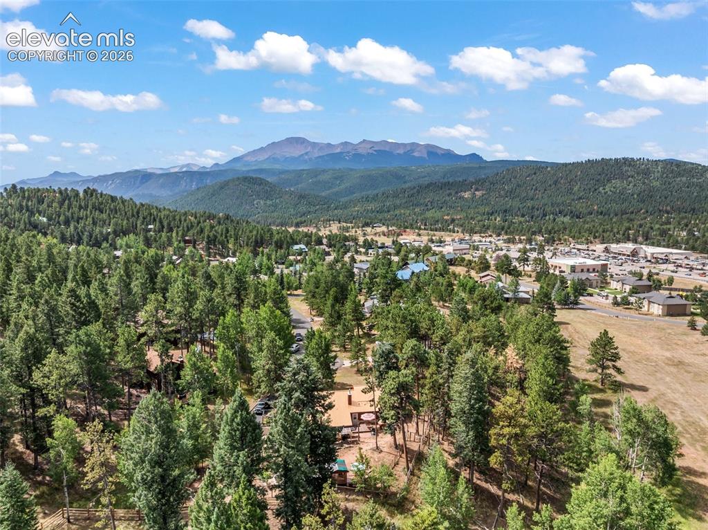 Image 29 of 31: Pikes Peak!
