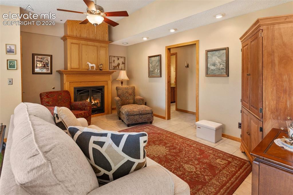Image 8 of 31: Living Room with gas fireplace