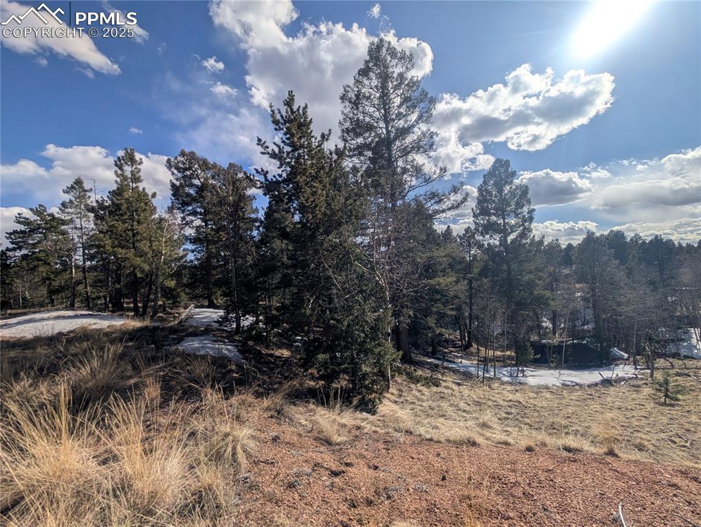Image 2 of 28: Level usable lot for a perfect mountain home!!