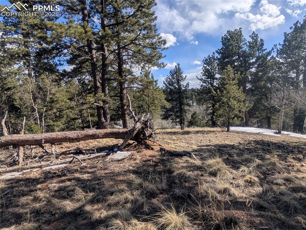 Image 21 of 28: Other