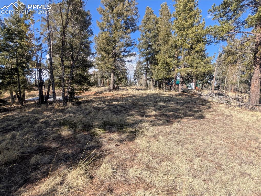 Image 22 of 28: Yard