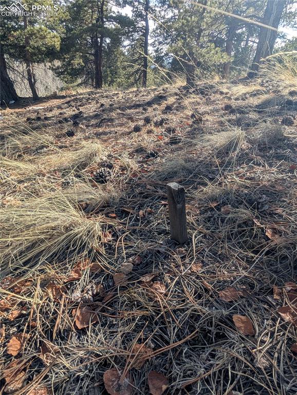 Image 27 of 28: Previous site stakes for residence