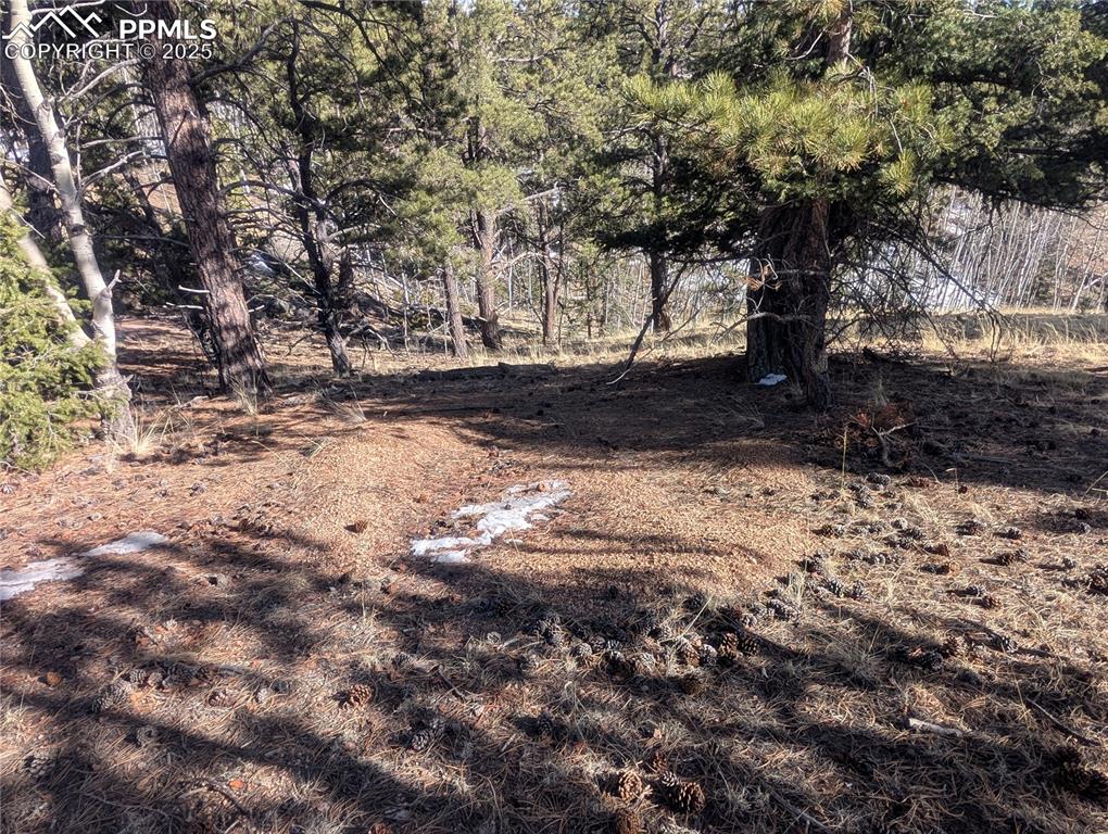 Image 28 of 28: Soils test site