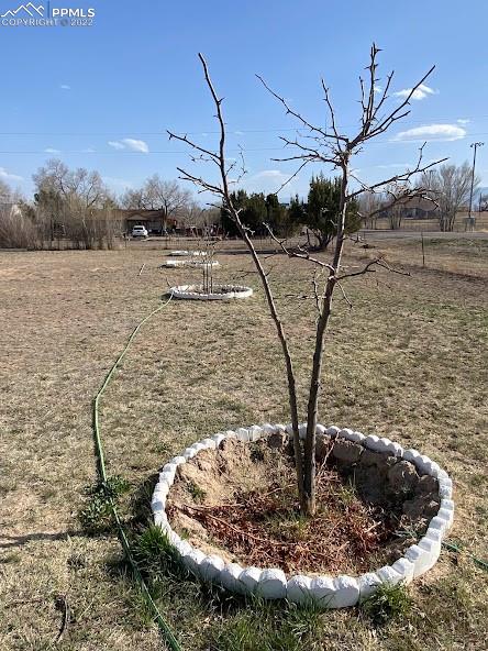 Listing 6682823, Image 19 of 19