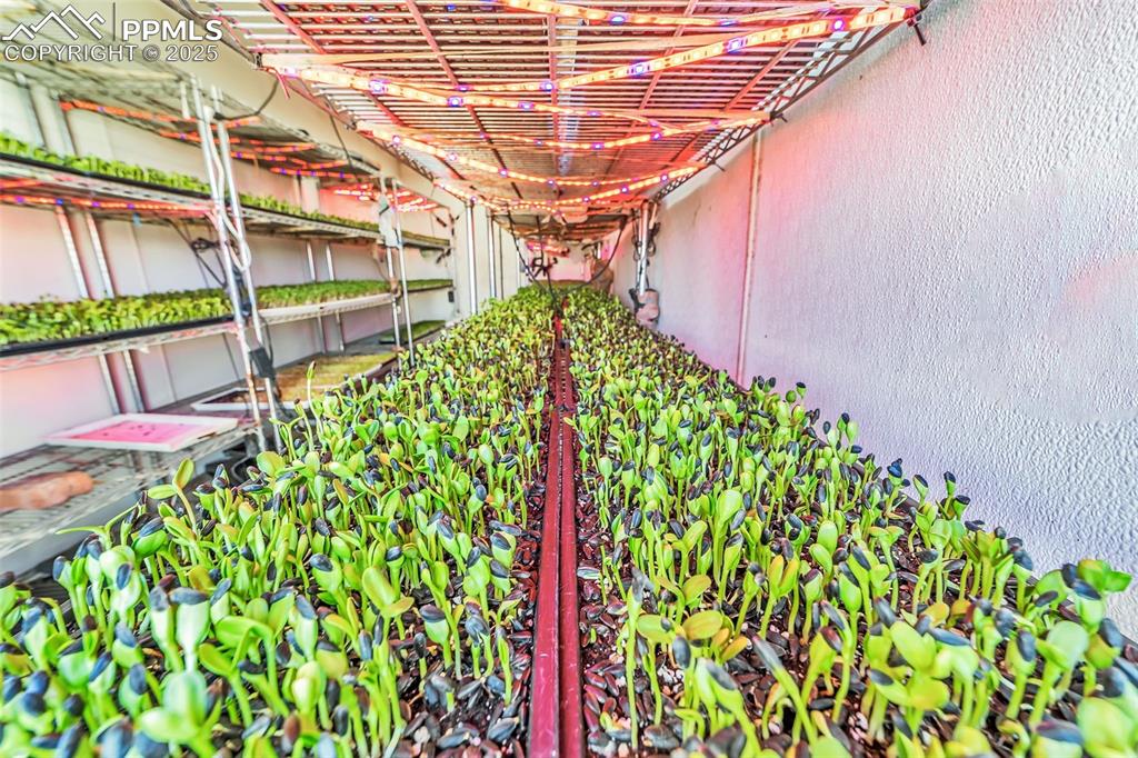 Image 20 of 44: Exterior view