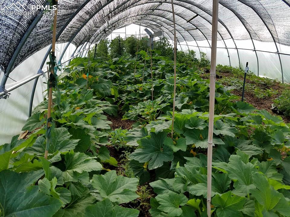 Image 22 of 44: View of local wilderness