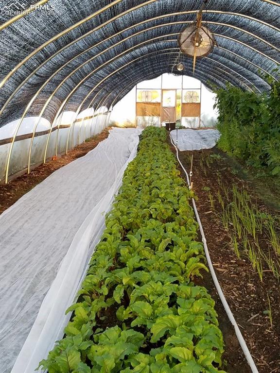 Image 23 of 44: Bird