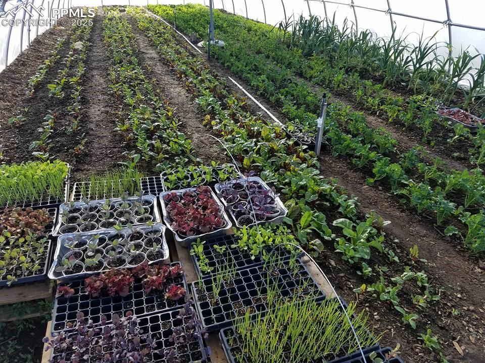 Image 26 of 44: Other