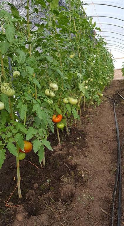 Image 28 of 44: Exterior view