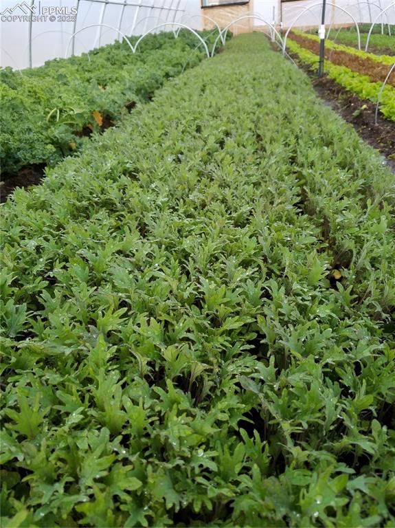 Image 30 of 44: View of yard