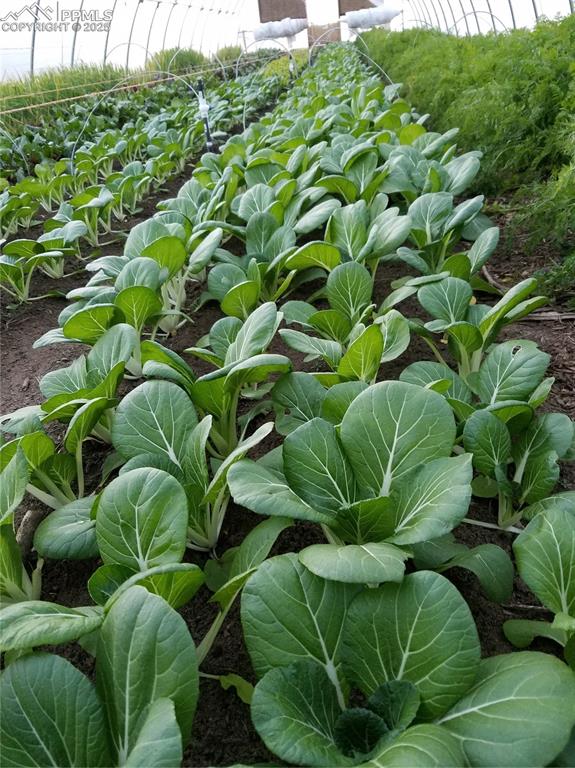 Image 32 of 44: Exterior view