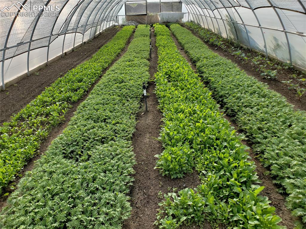 Image 33 of 44: View of yard featuring an exterior structure, a garden, and an outbuilding