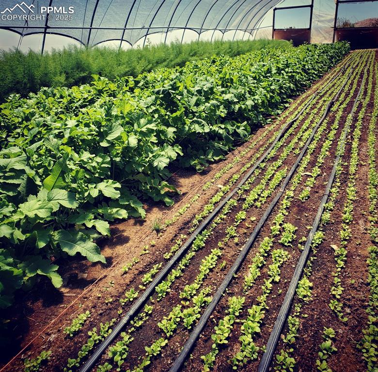 Image 40 of 44: Other