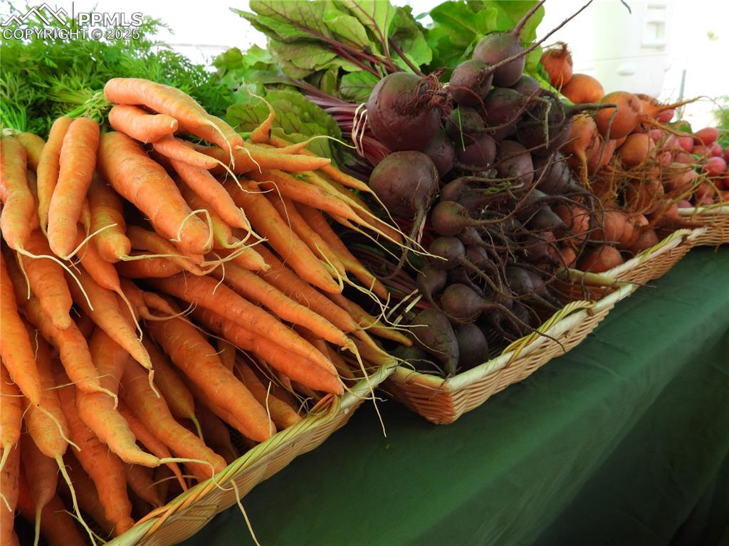 Image 42 of 44: Exterior view