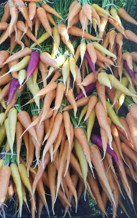 Image 43 of 44: Exterior view