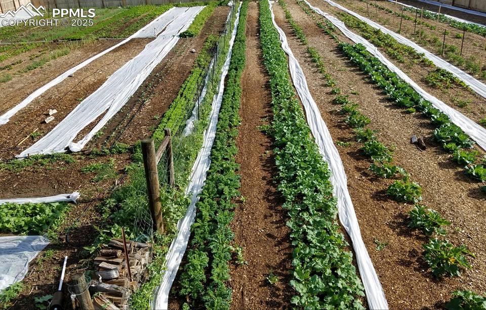 Image 5 of 44: Aerial view of property