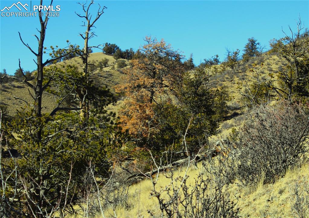 Image 14 of 15: Other