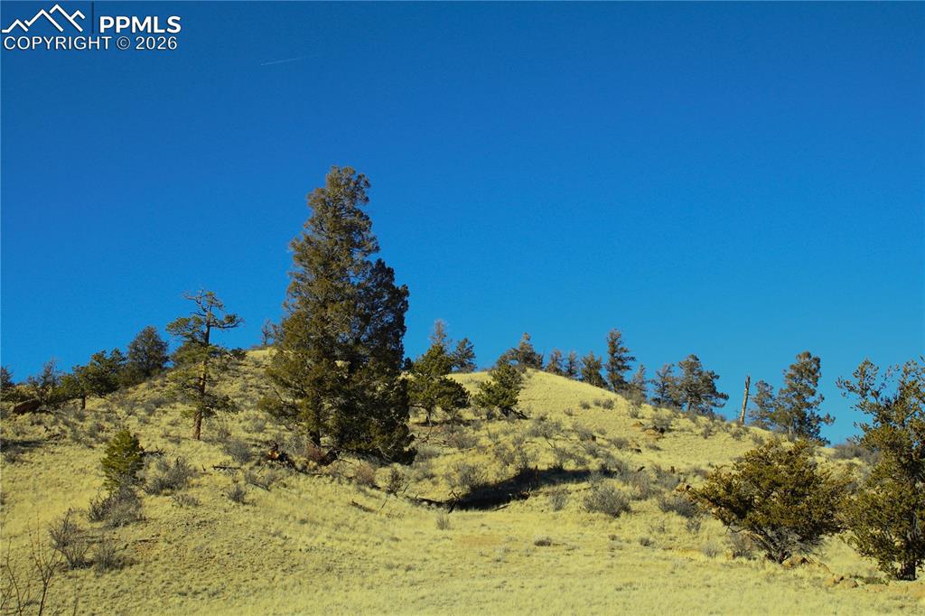 Image 3 of 15: Other