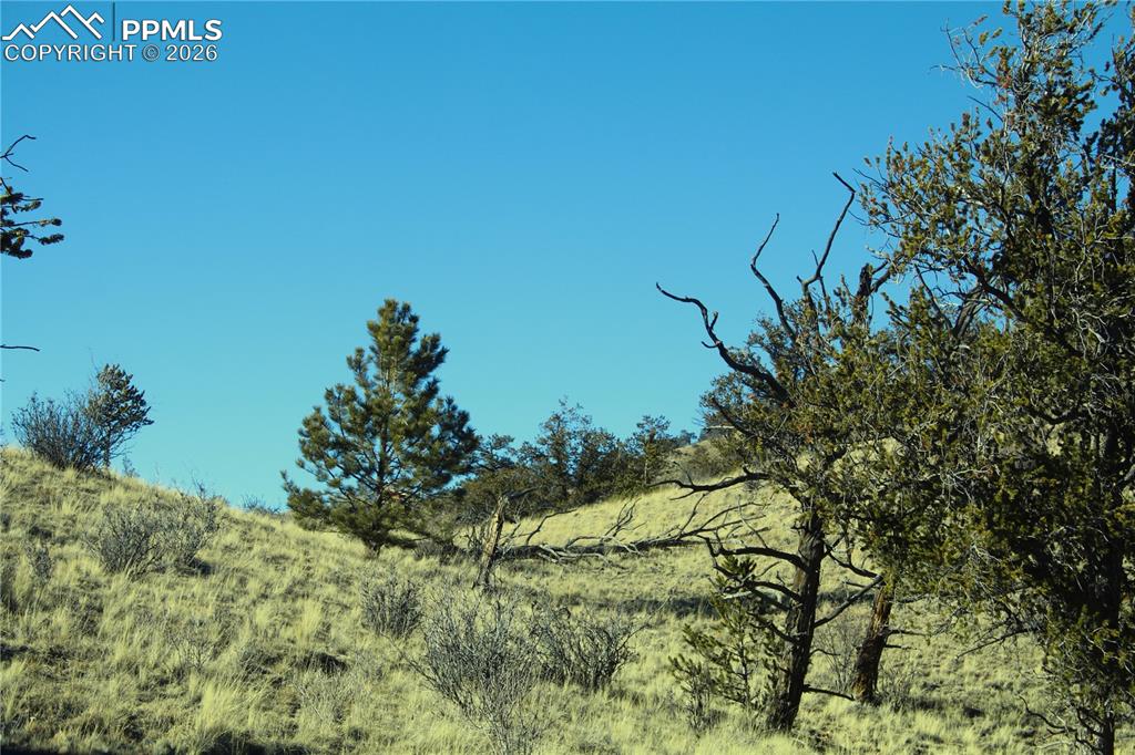 Image 9 of 15: Other