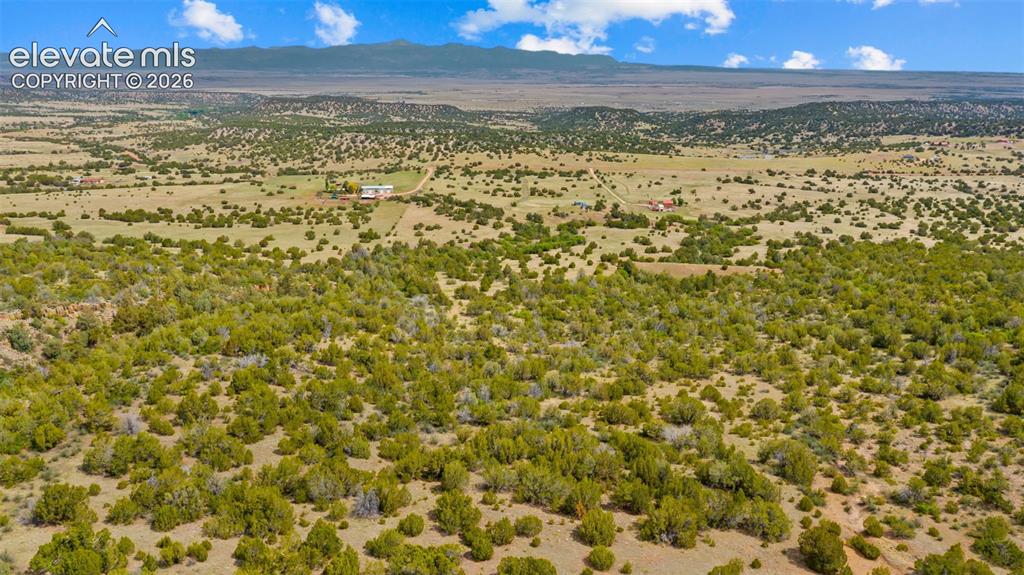 Image 7 of 34: Aerial View